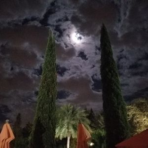 Meet your Posher, Christal